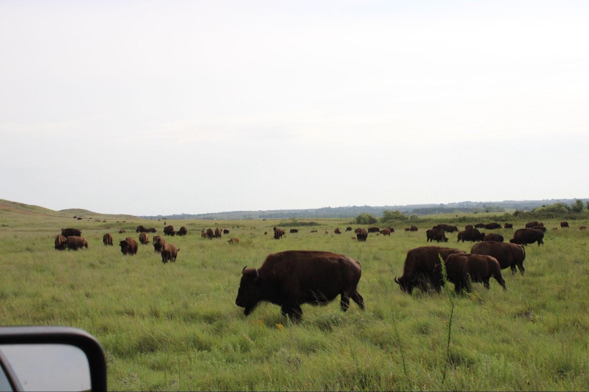 Maxwell Wildlife Refuge balances conservation, education, and visitor safety