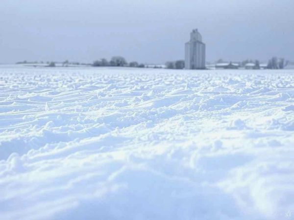 KS - January 03 2025