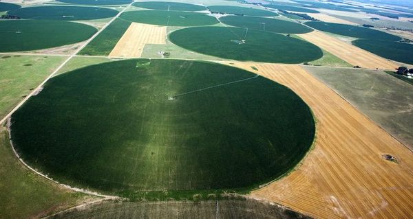 KS - February 28 2025