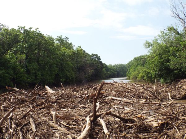 Abilene – Week of June 29 2025