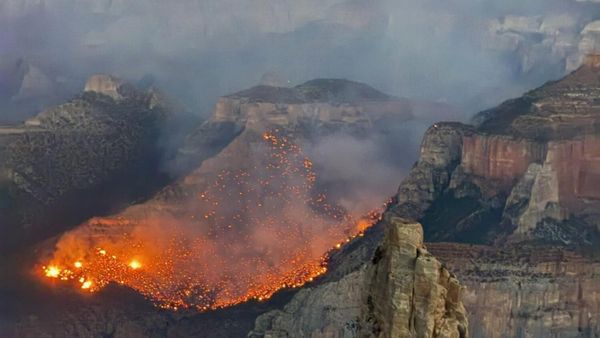 Page local news summary