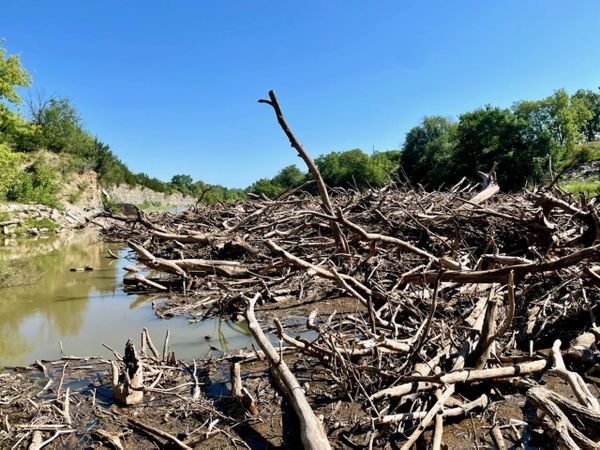 Salina – Week of July 31, 2025