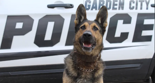 Top 5 Kansas news stories