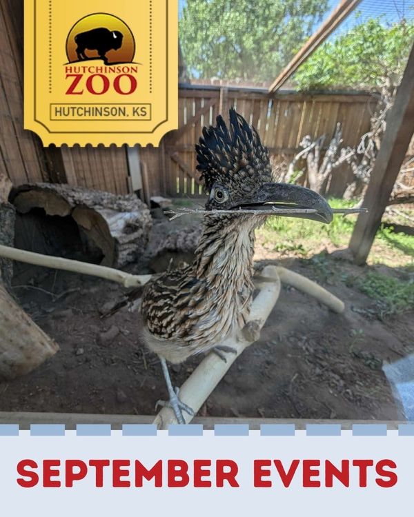 Hutchinson Zoo Announces September Programming for All Ages