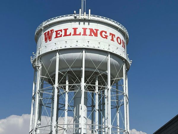 Wellington local news summary