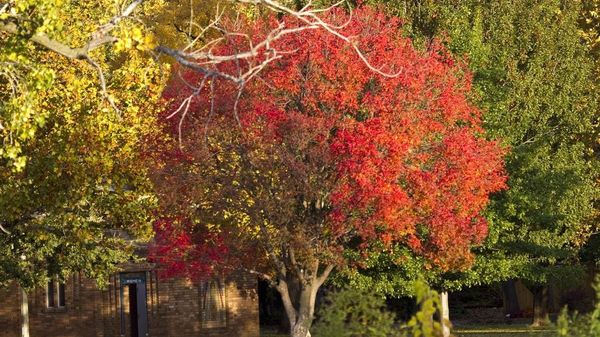 Top 5 Kansas news stories