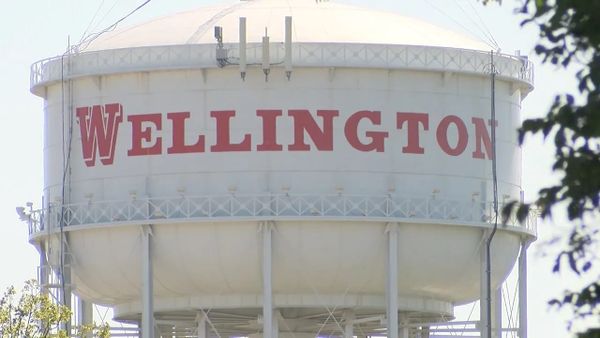 Wellington local news summary