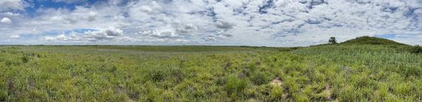 Hays local news summary