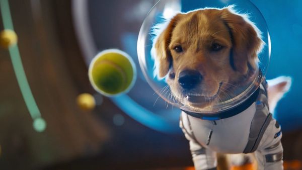 Top 5 US news stories