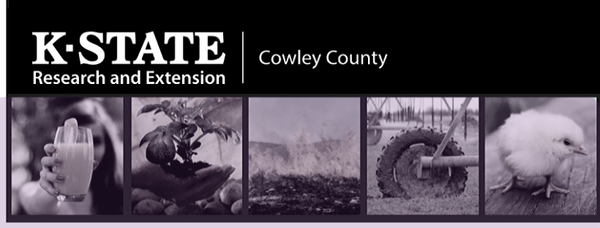 K-State Extension to Host Beginning Rancher Series in South-Central Kansas