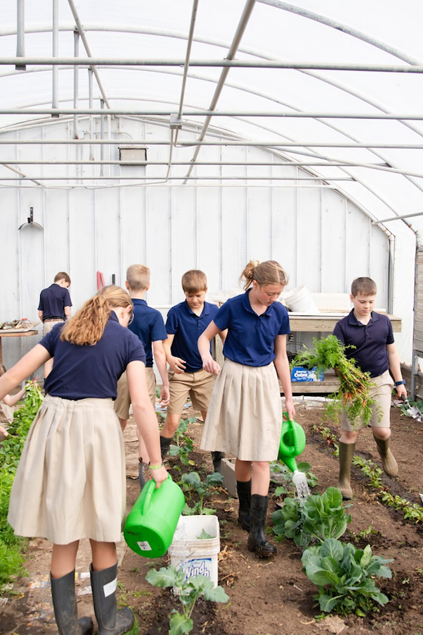 Top 5 Kansas news stories