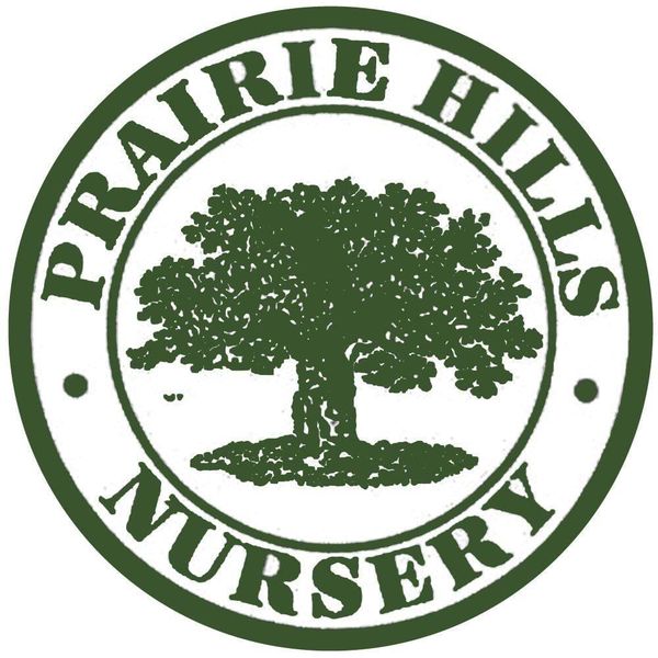 Prairie Hills Nursery to Host Galentine's Girls Night Fundraiser