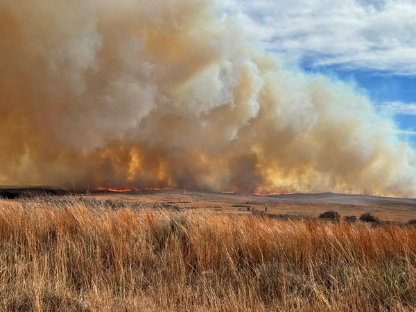 Wildfires Scorch Hundreds of Thousands of Acres Across Southwest Kansas