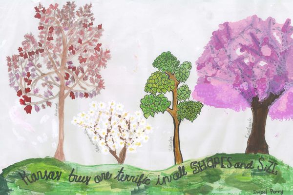 McPherson fifth-grader wins state Arbor Day poster contest
