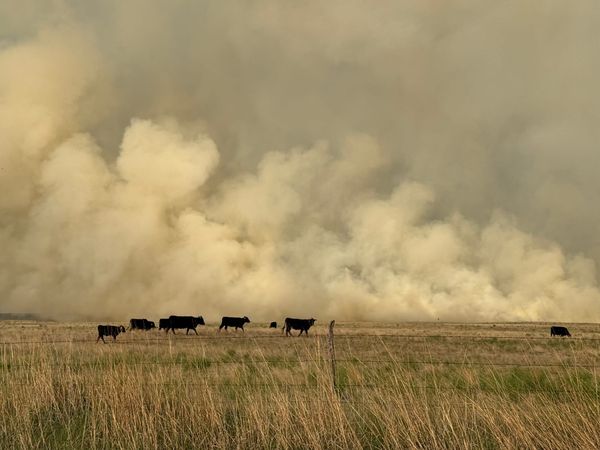 Top 5 Kansas news stories