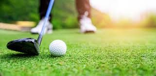 Bullpups boys varsity golf takes 3rd at league meet