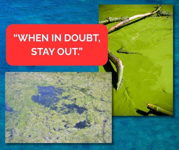 Health officials issue blue-green algae watch for Pottawatomie County lake