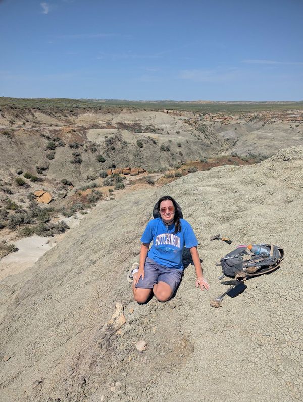 Hutchinson Community College instructor unearths triceratops skull in Montana
