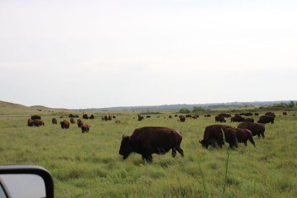 Maxwell Wildlife Refuge balances conservation, education, and visitor safety