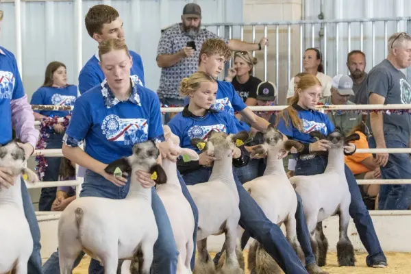 PHOTOS: Kids show off their sheep at Kansas State Fair