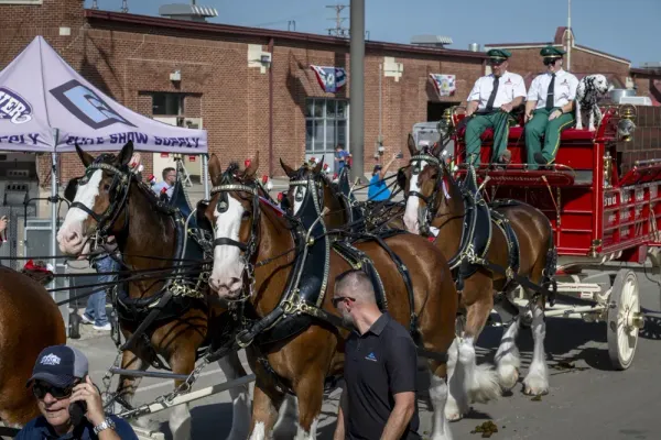 PHOTOS: Budweiser Clydesdales make their way to the Kansas State Fair