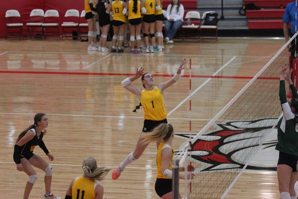 PHOTO GALLERY Bullpups Sweep Clearwater, Mulvane in Volleyball