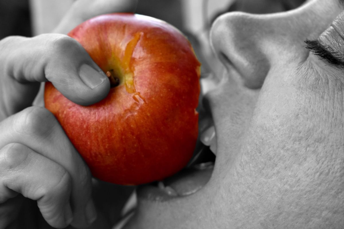 Tonic’s Free Range Consensual Harem