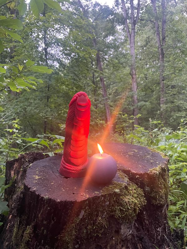 The Altar in the Woods