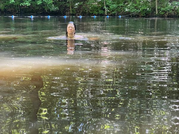 Swimming with a Snapping Turtle