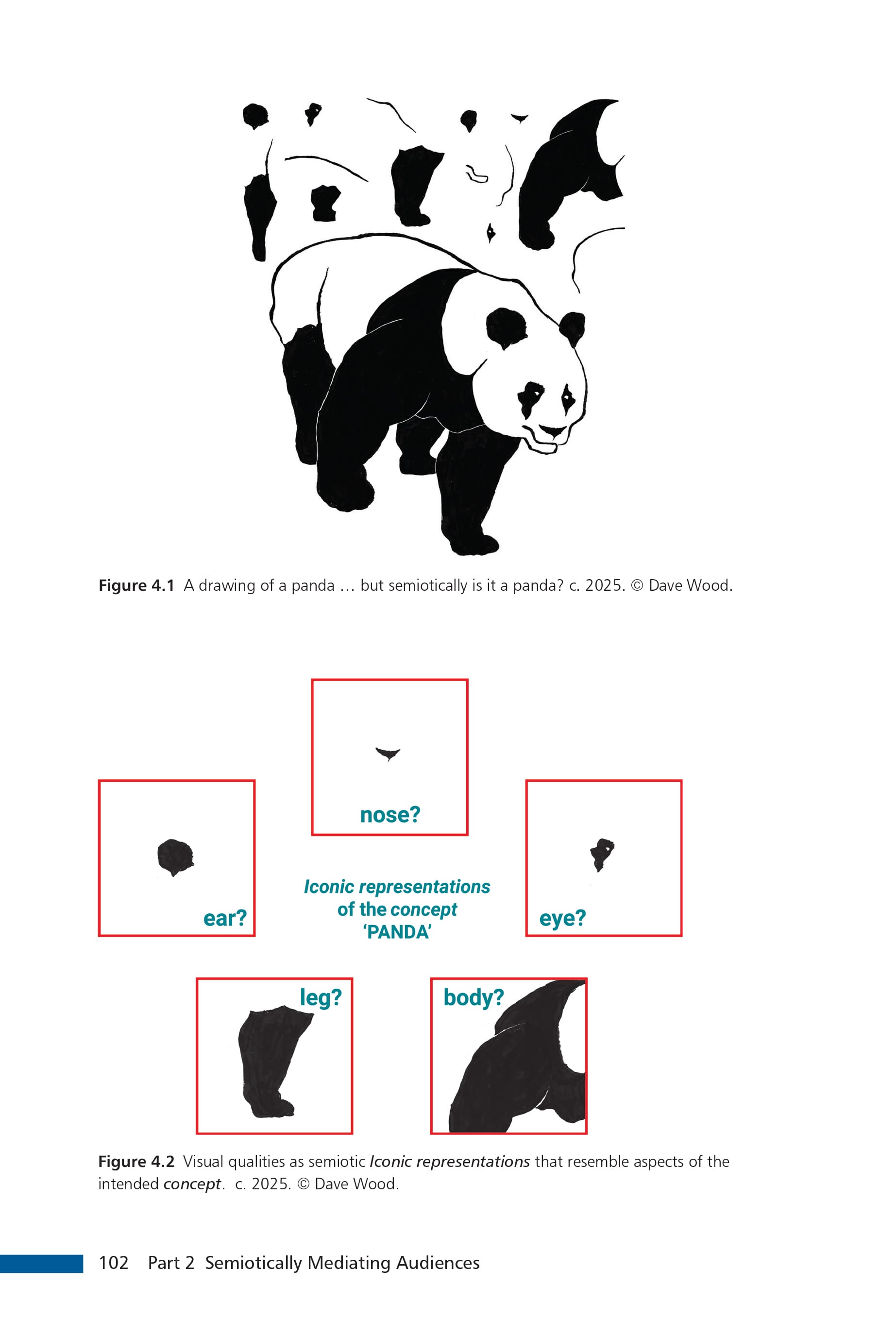 Page 102 in my book with diagrams showing the Iconicity of a panda