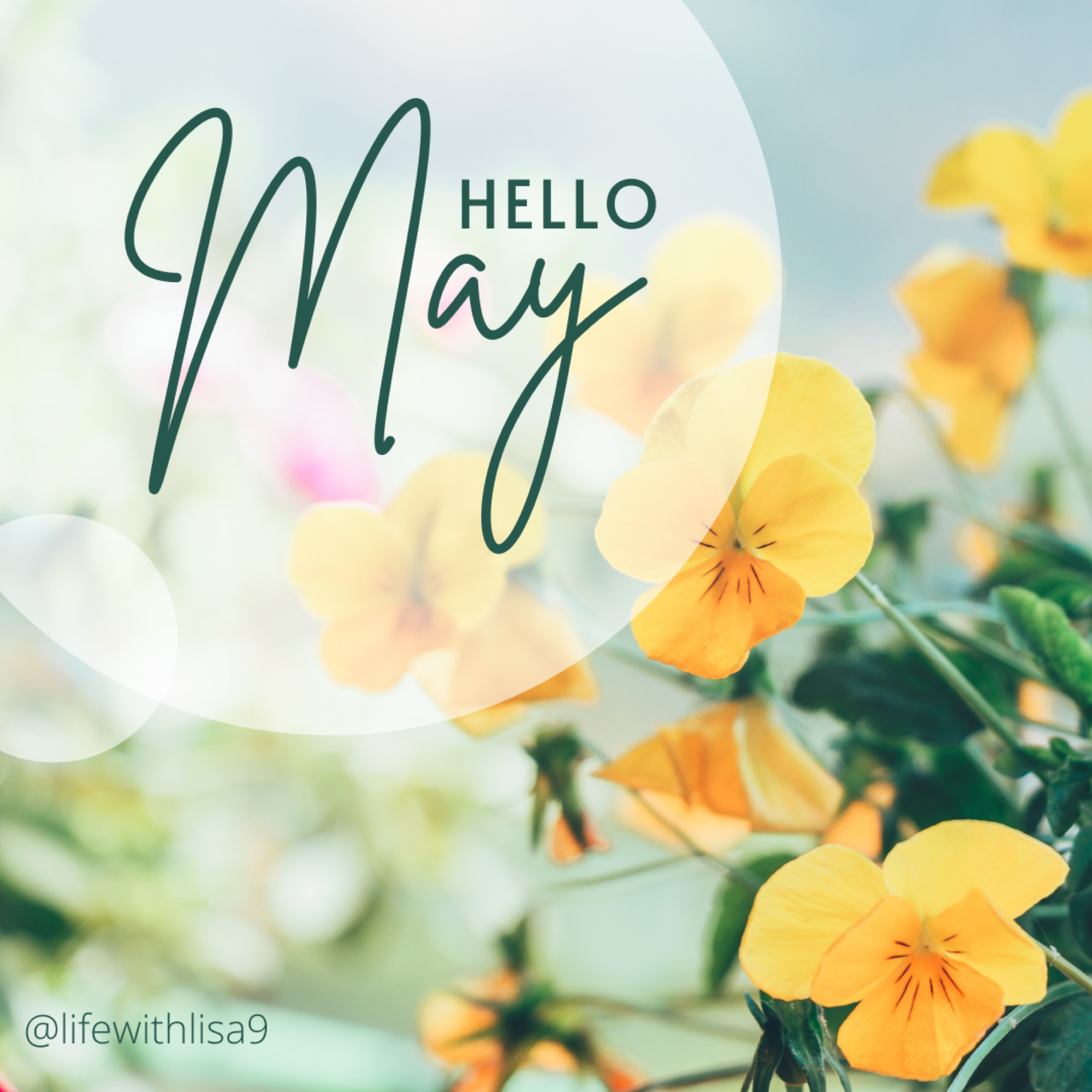 Blooming May