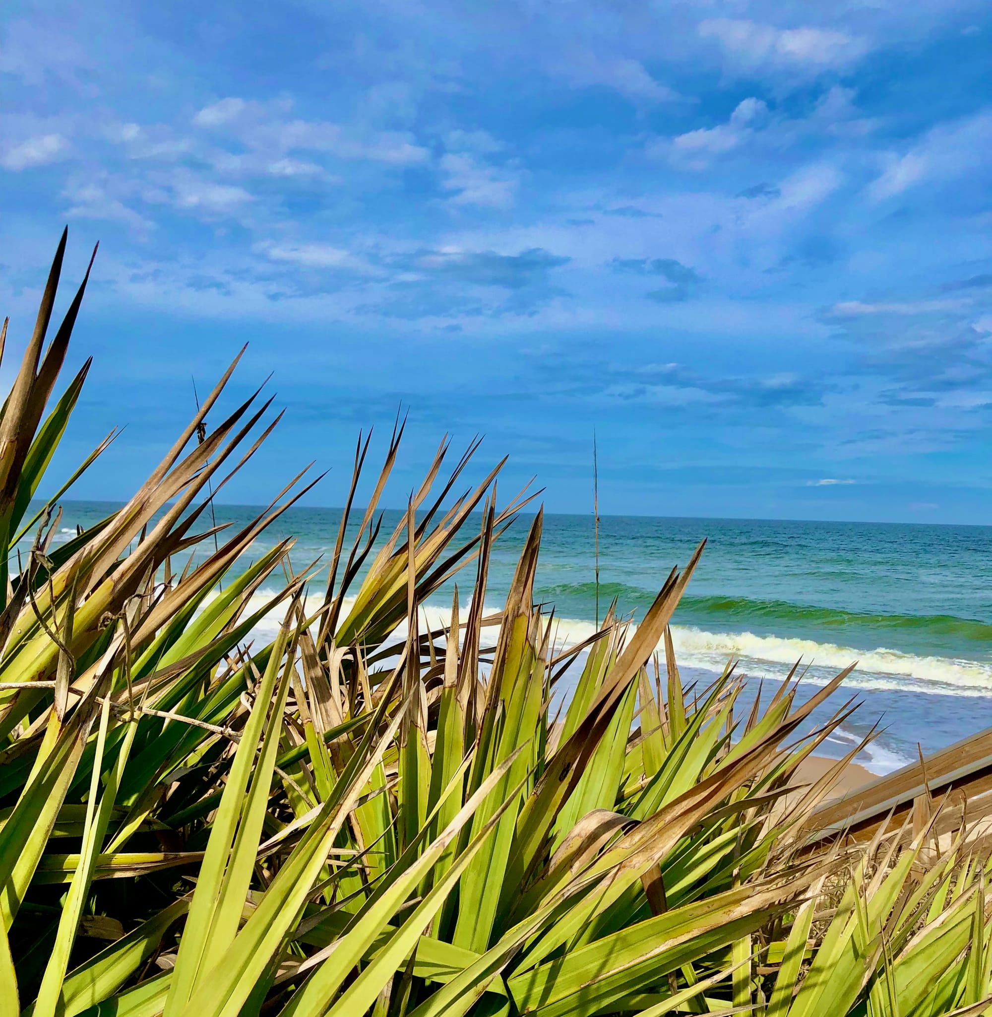 CoconutsandCastaways