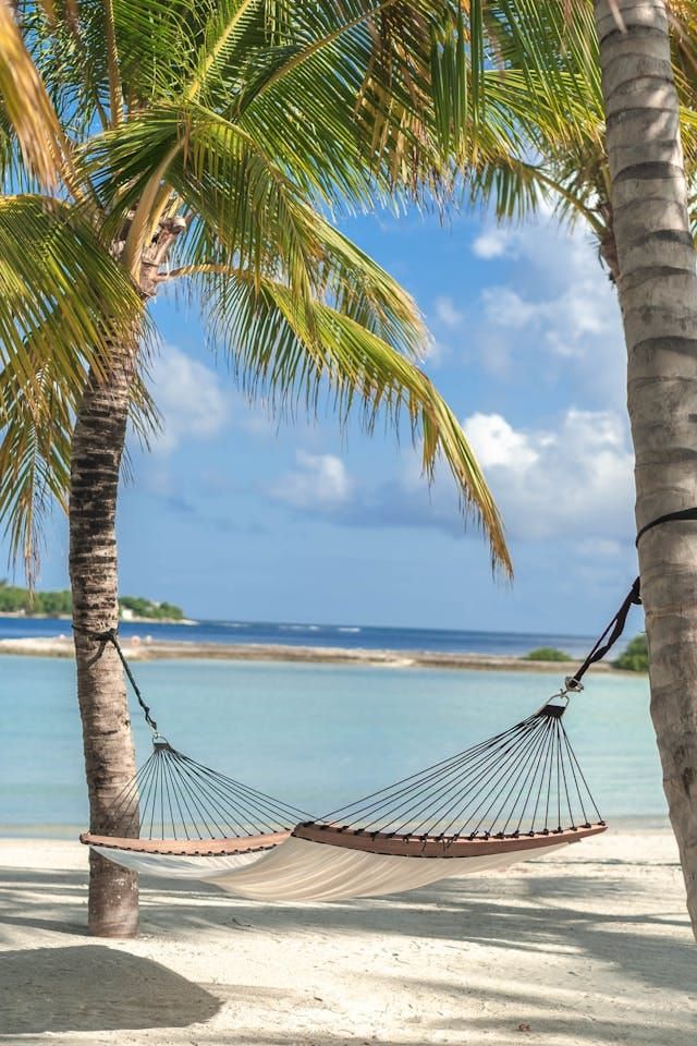 a hammock between palm trees on a beach 