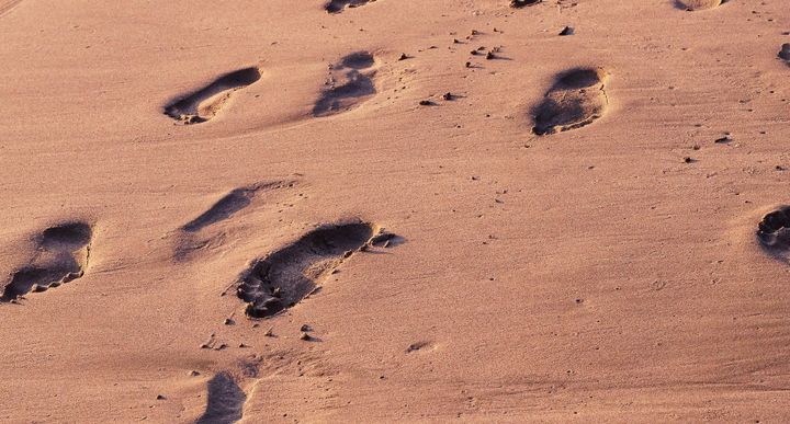 foodprints in sand