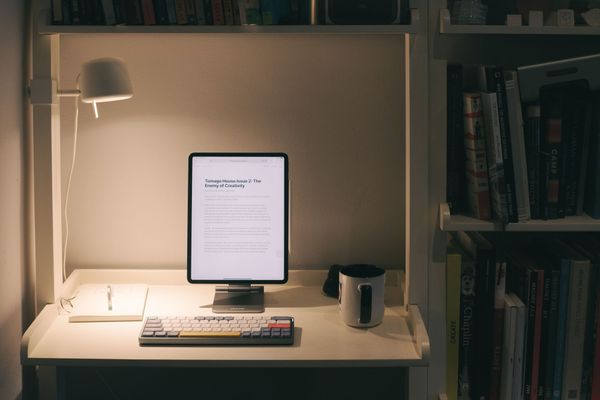 Tomago House #3: Focus.