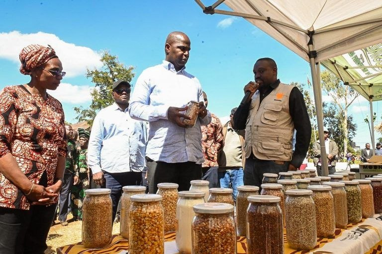 Mozambique’s missing agricultural strategy