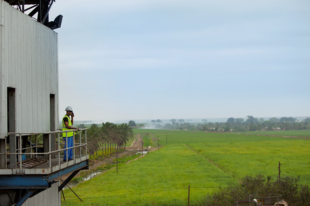 Tongaat Hulett aims to sell Mozambique sugar operations this month