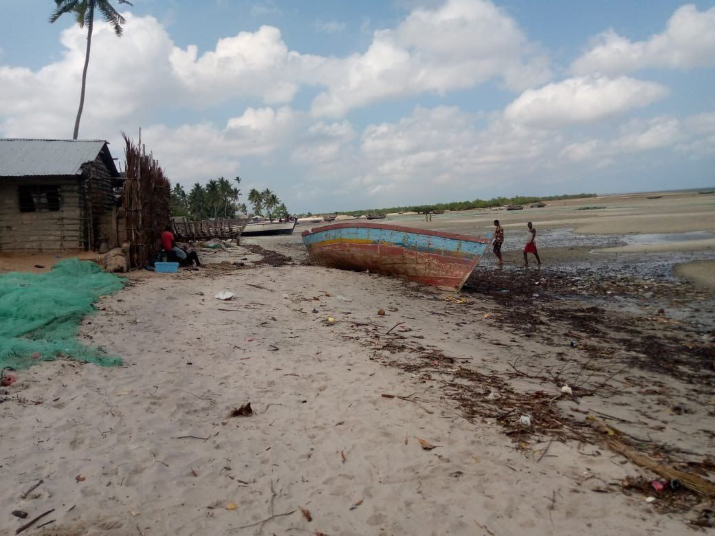 A New Horizon for the People of Palma?