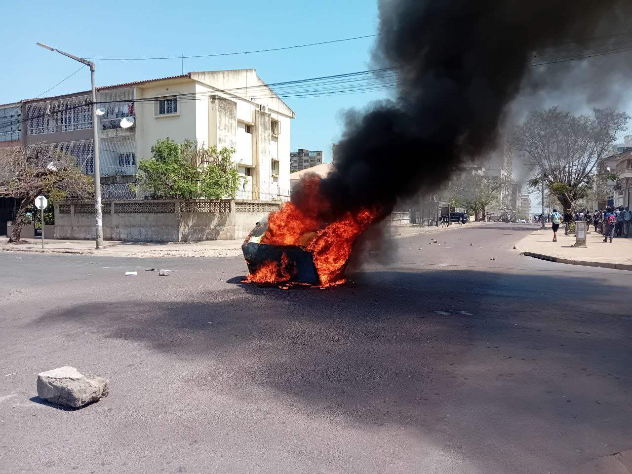 Zitamar Week in Review, 23-27 October 2023