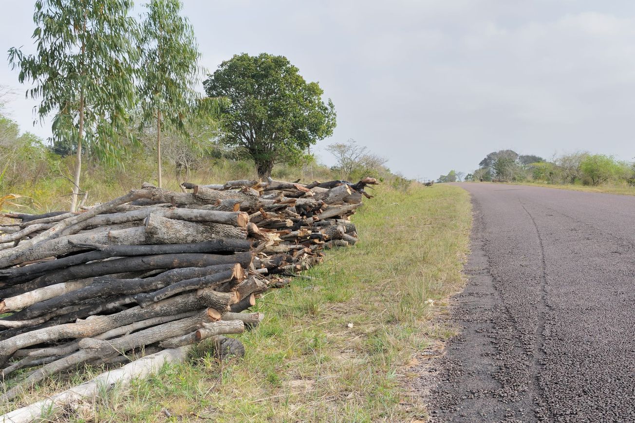 Start-ups champion eco-stoves to reduce logging in Nampula
