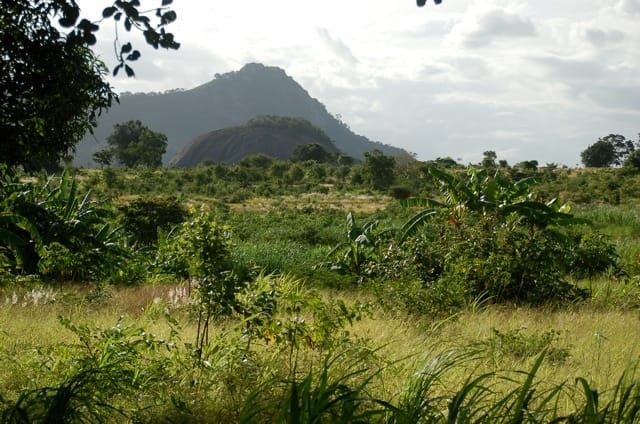 University aims to save forests with biogas cooking project