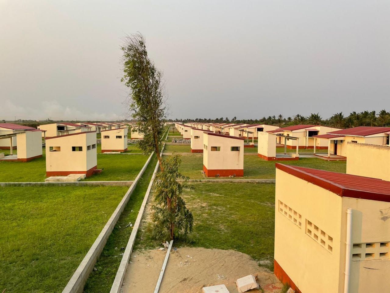 Work on port of Macuse to begin this year