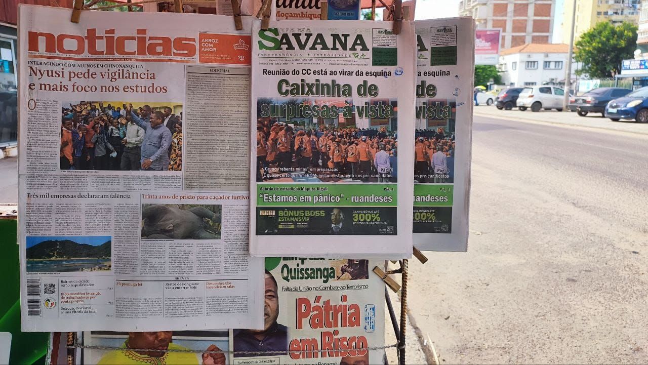 Frelimo's leading lady?