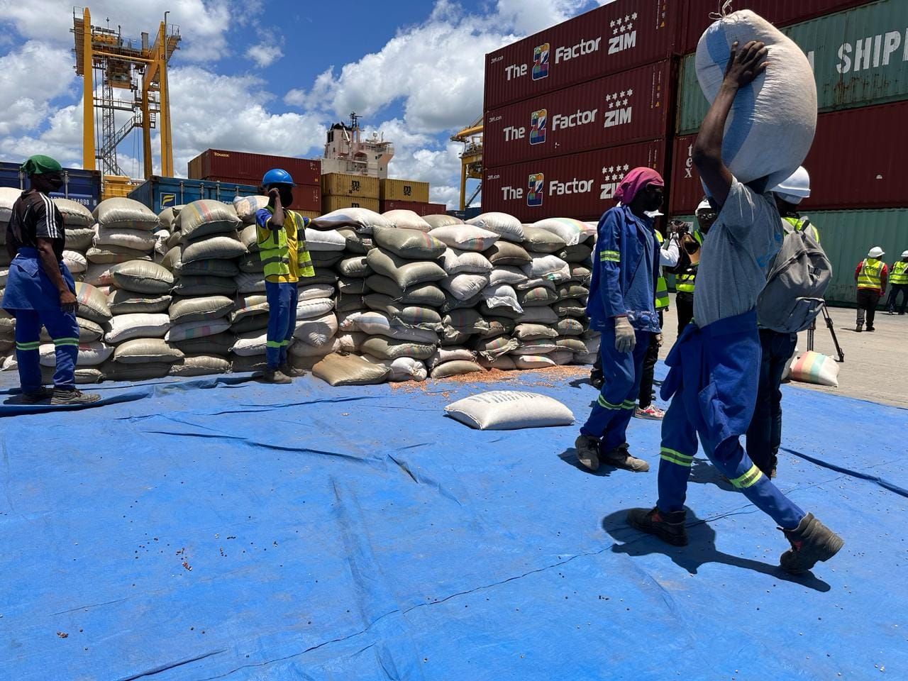 Zitamar explains: Mozambique’s pigeon pea scandal