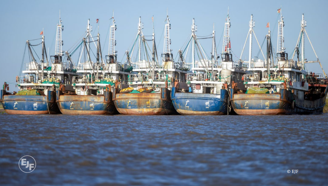 Chinese fleet committing human rights abuses and illegal fishing practices in Mozambican waters, report finds