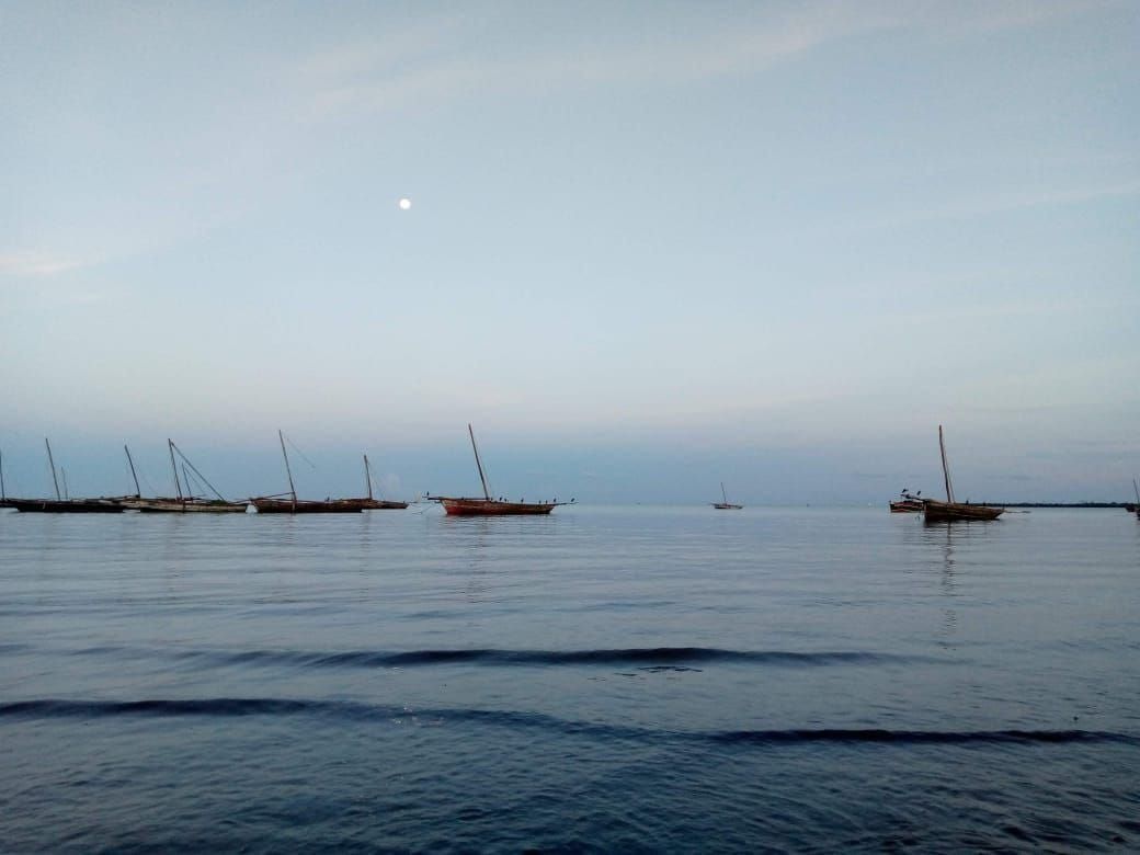 Insurgents kidnap 70 fishers off Mocimboa da Praia coast