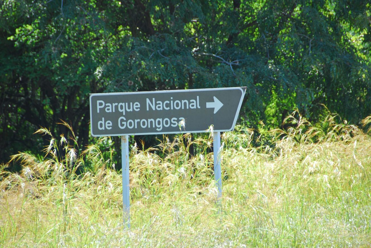 Gorongosa National Park bosses accused of illegally dismissing workers