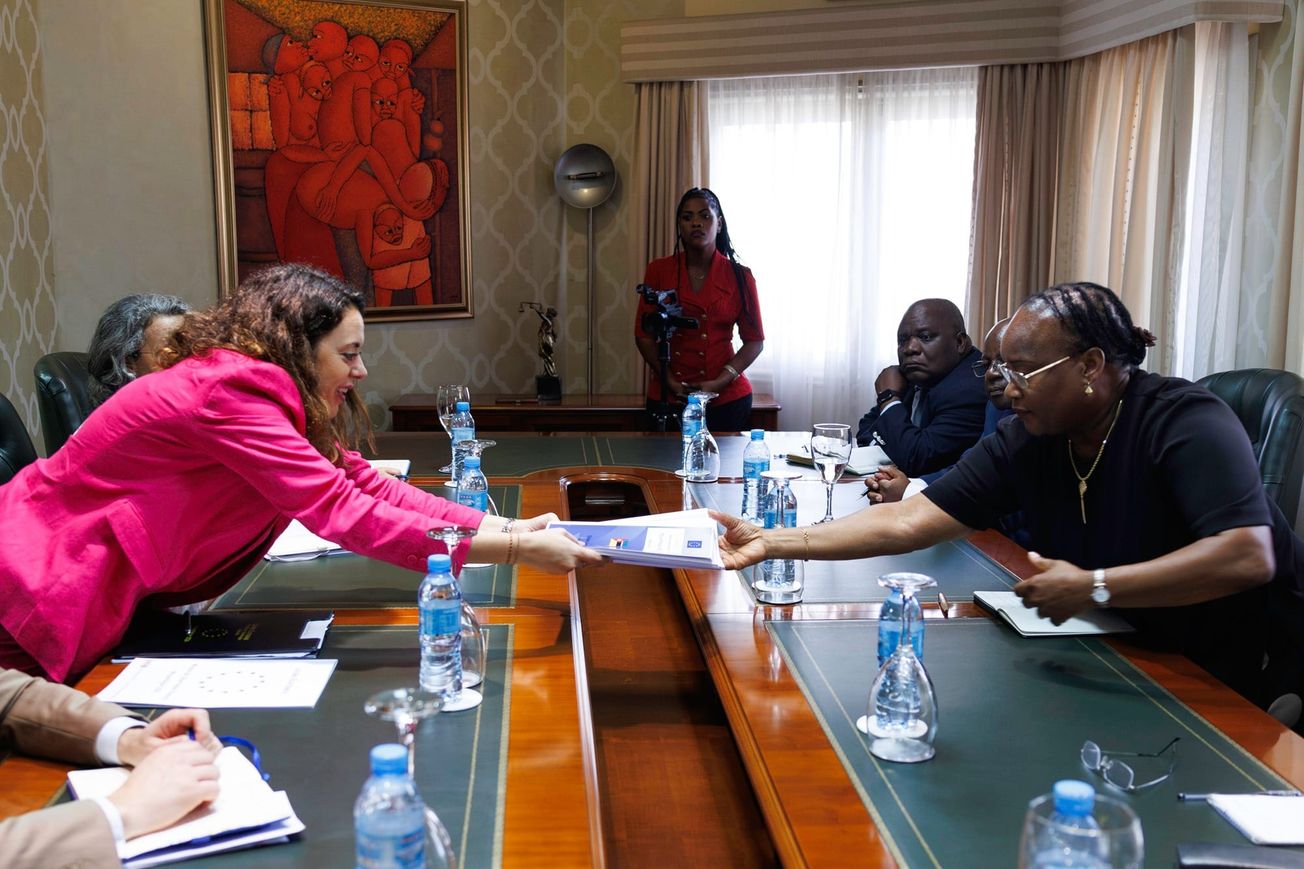 The EU’s elections report: between the comic and the surreal