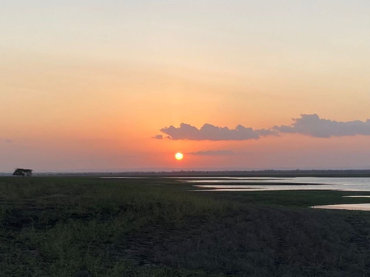 Conservation needs more than new concessions
