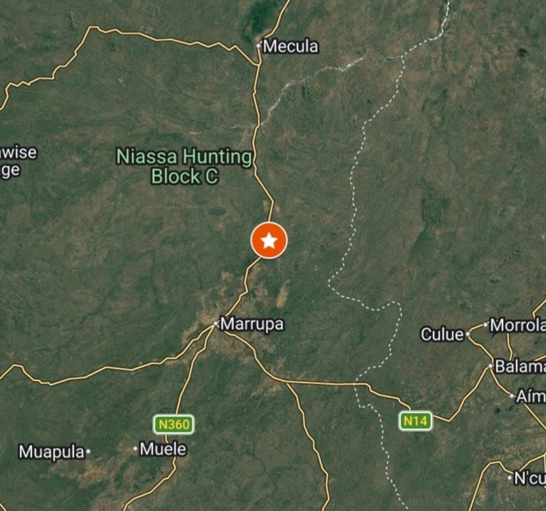 Americans airlifted out of Niassa hunting camp after suspected insurgent attack kills two